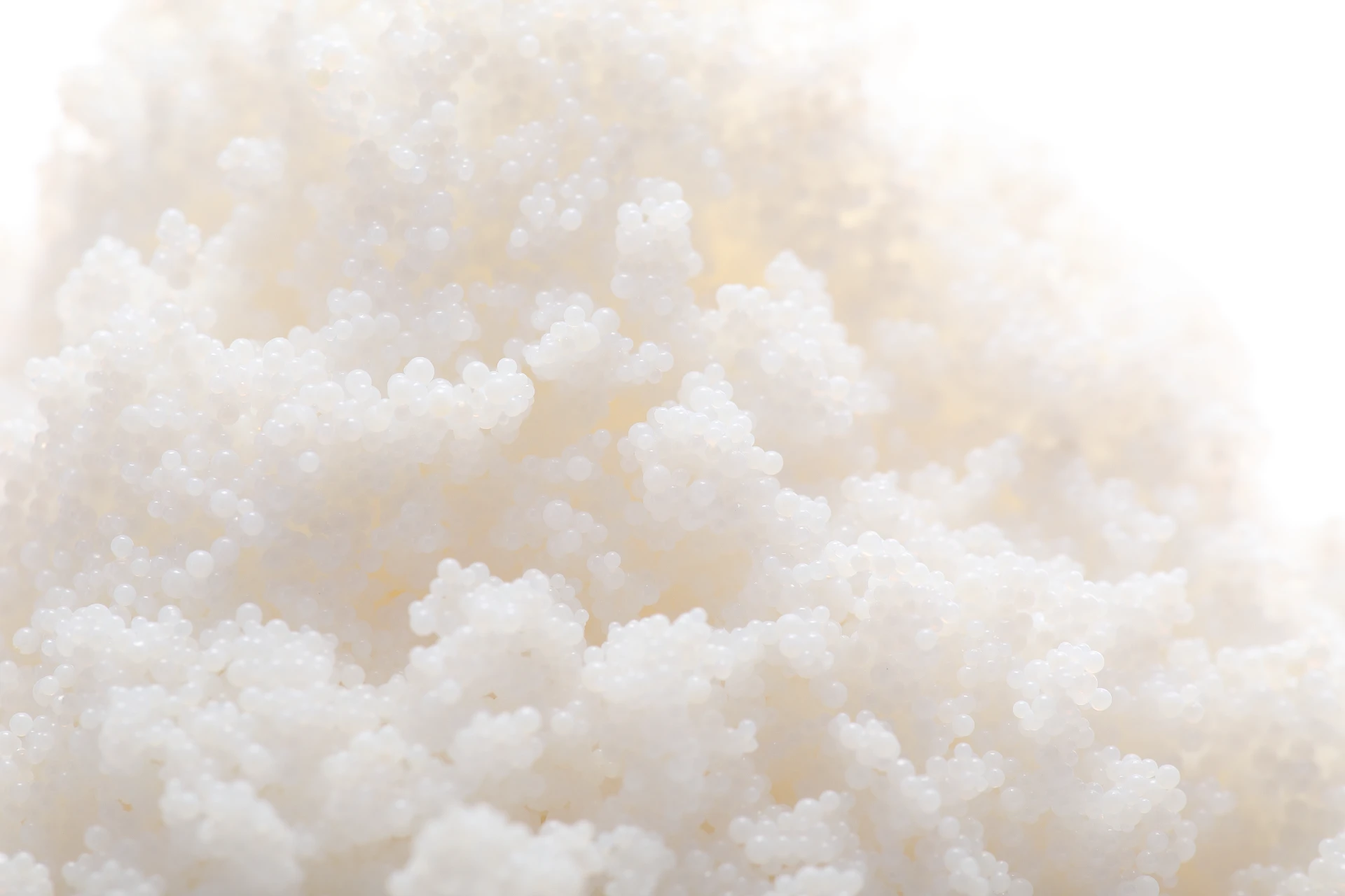 Adsorption Resin