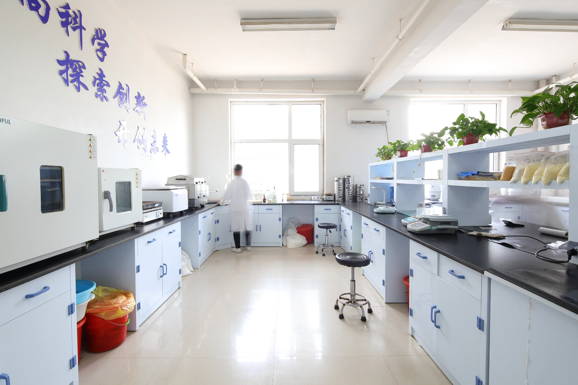 cation exchange resin