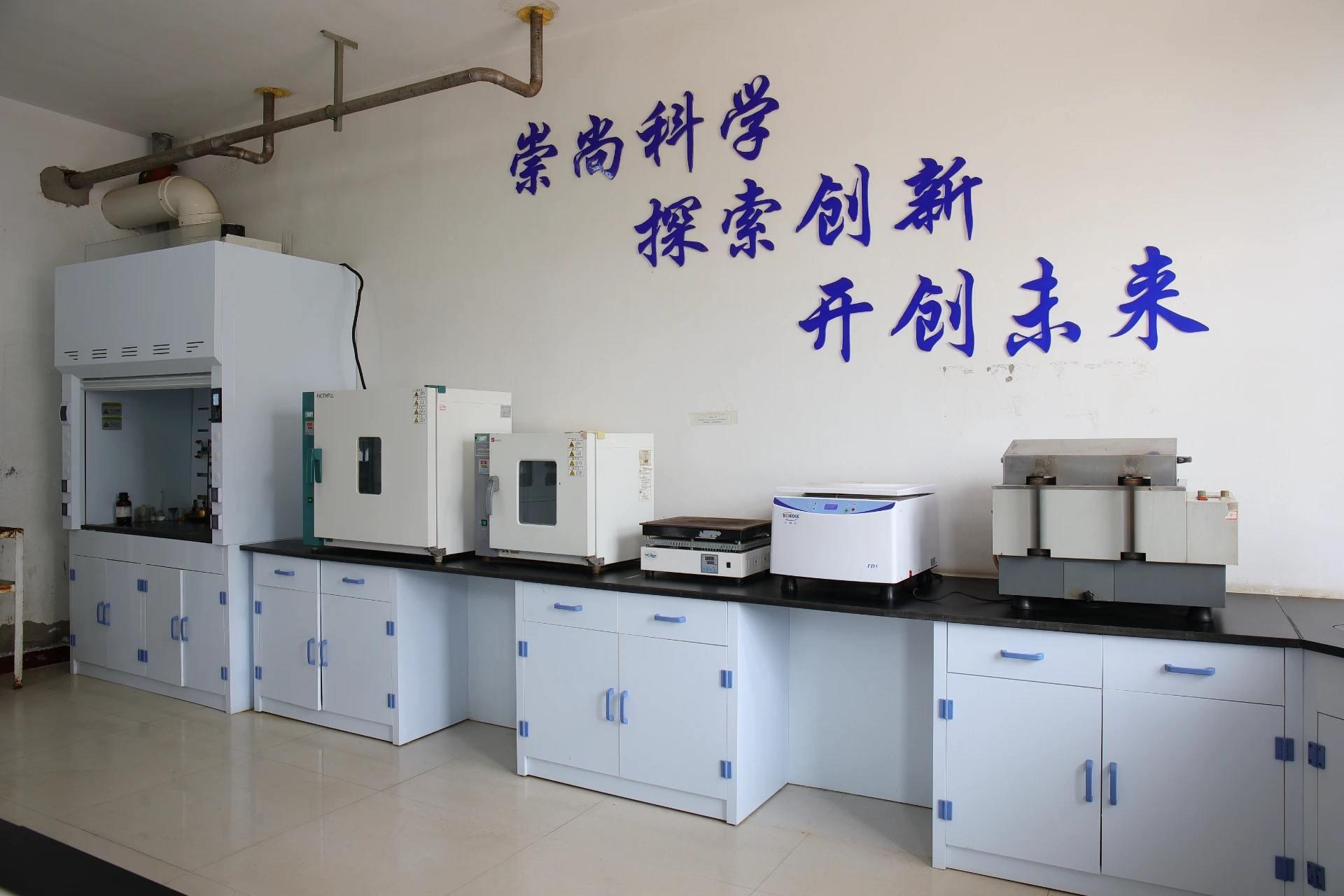 anion exchange resin