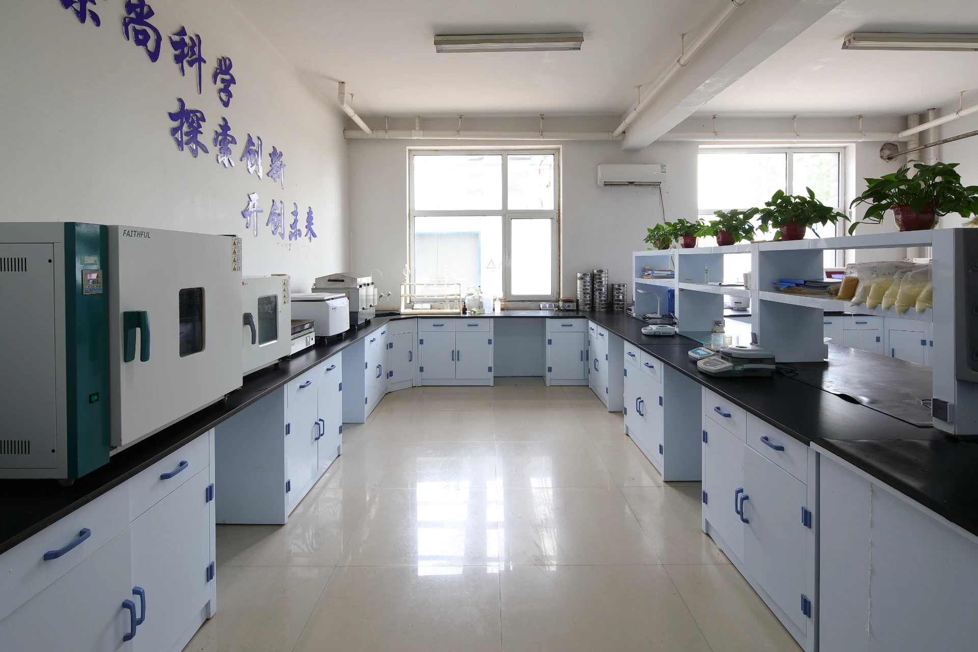 adsorption resin