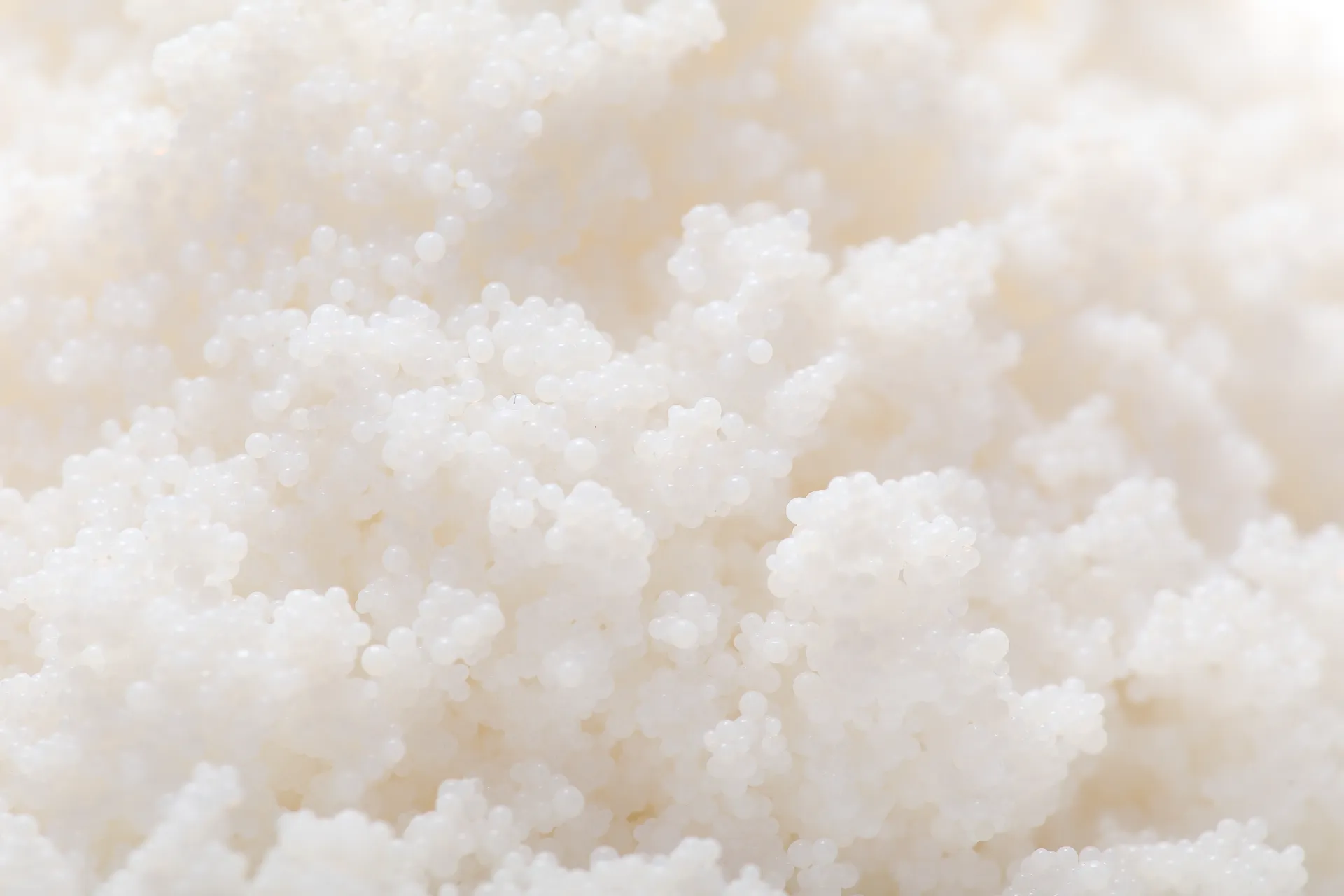 Macroporous Adsorption Resin X-5