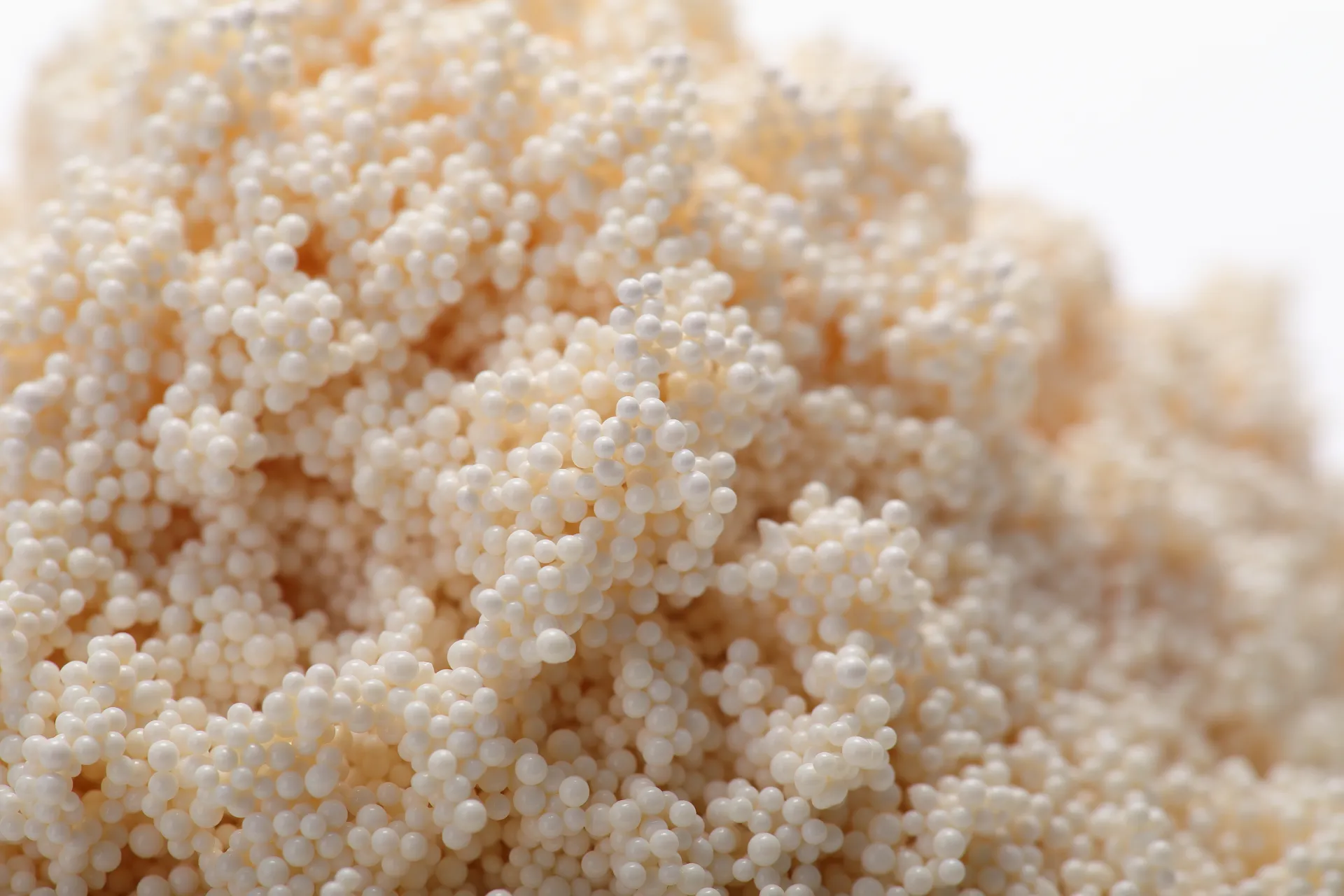 Strong Basic Anion Exchange Resin D201