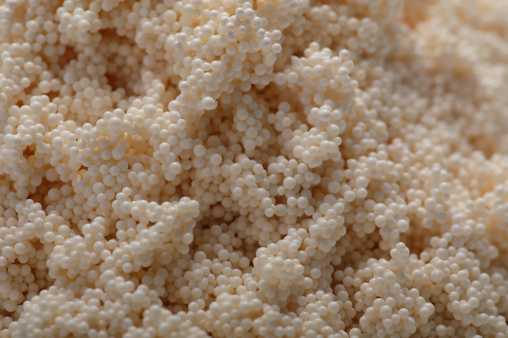 Strong Basic Anion Exchange Resin D201 MB