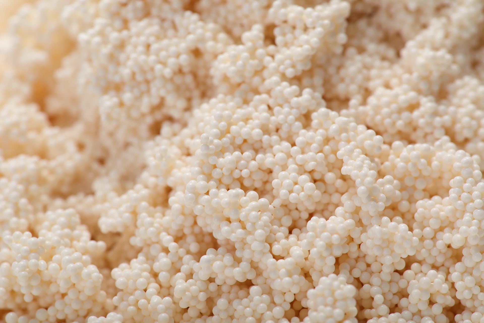 Weak Acid Cation Exchange Resin D113 FC
