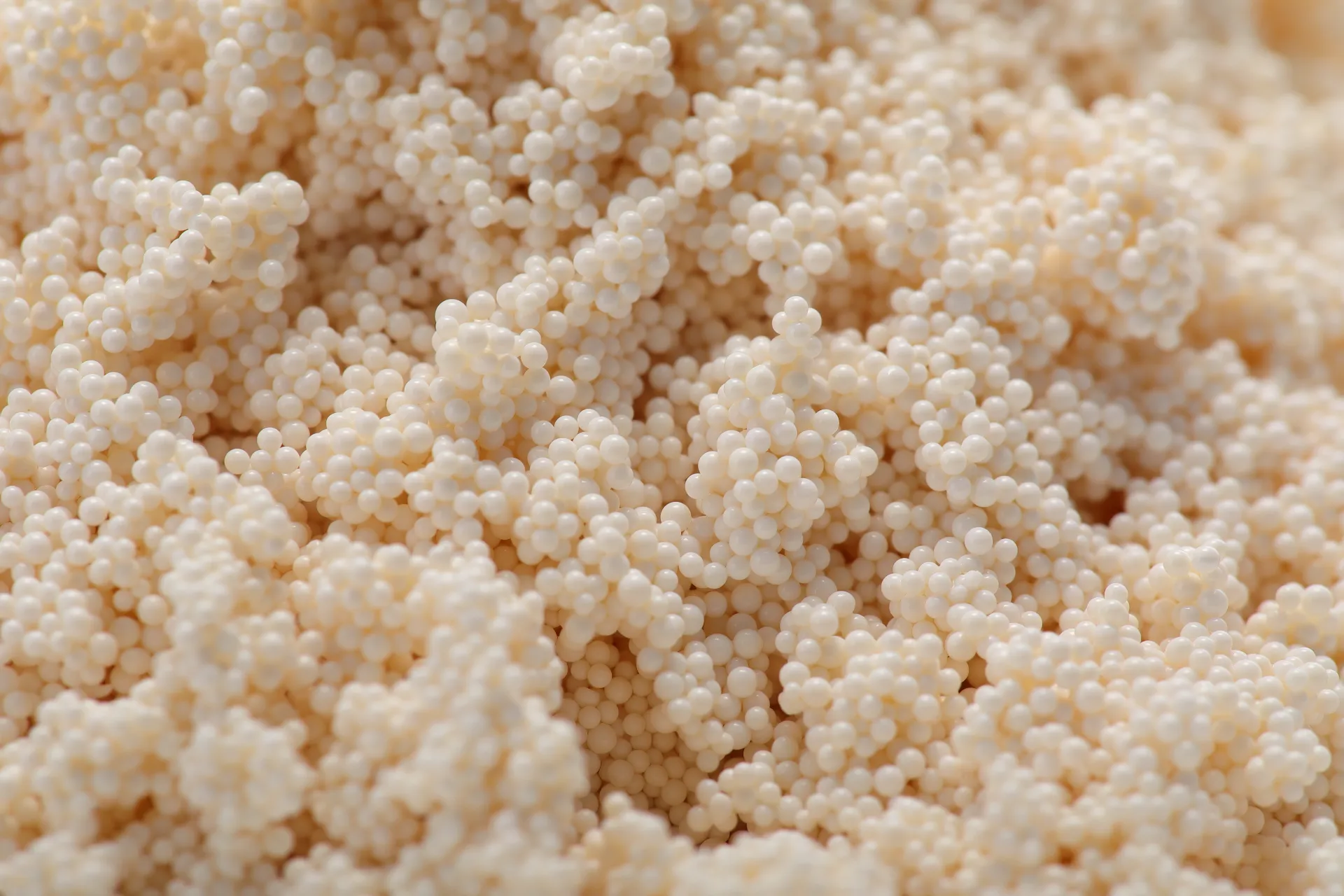 Weak Acid Cation Exchange Resin D113 FG