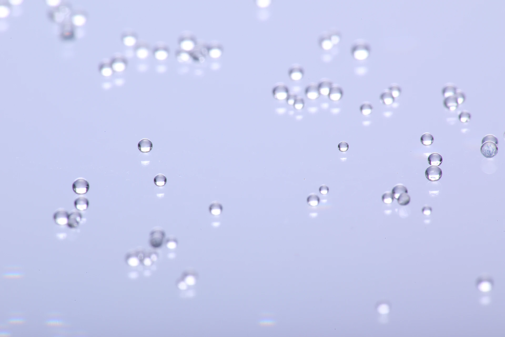 Oil Resin